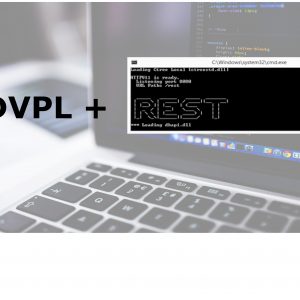 REST protheus -Parte 01: O que é uma API