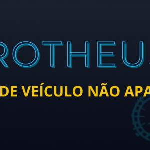 COMO RESOLVER? Coluna TIPO de Veículo NÃO APARECE no Cadastro de Veículos